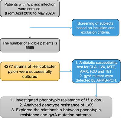 Antibiotic resistance of Helicobacter pylori in Nanjing, China: a cross-section study from 2018 to 2023